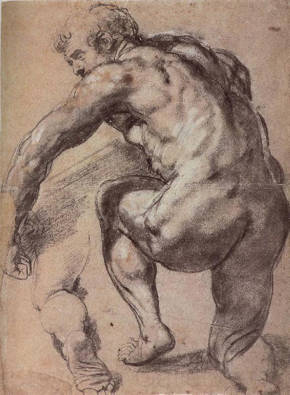 Peter Paul Rubens Portrait of Man Spain oil painting art